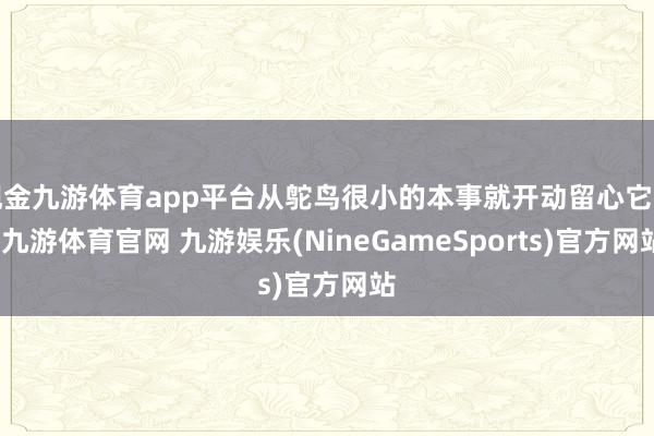 现金九游体育app平台从鸵鸟很小的本事就开动留心它了-九游体育官网 九游娱乐(NineGameSports)官方网站