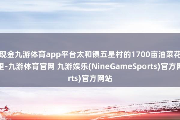 现金九游体育app平台太和镇五星村的1700亩油菜花地里-九游体育官网 九游娱乐(NineGameSports)官方网站