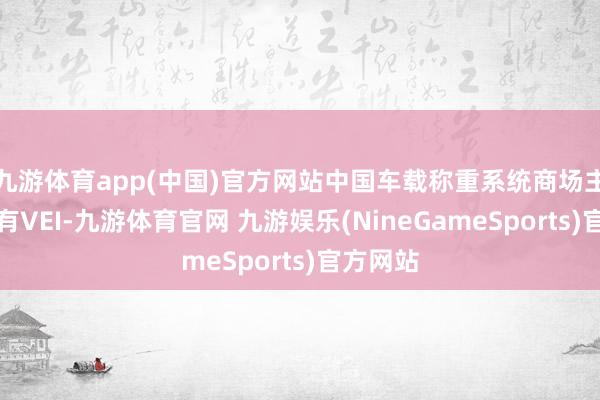 九游体育app(中国)官方网站中国车载称重系统商场主要企业有VEI-九游体育官网 九游娱乐(NineGameSports)官方网站