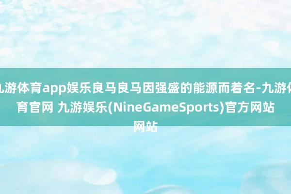 九游体育app娱乐良马良马因强盛的能源而着名-九游体育官网 九游娱乐(NineGameSports)官方网站