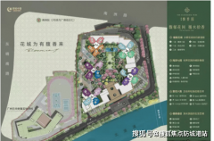 绿城为超新规项目